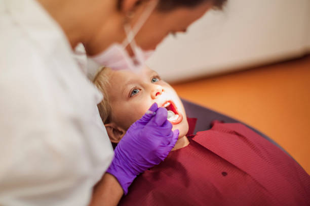 Best Emergency Dental Services for Seniors in Nibley, UT